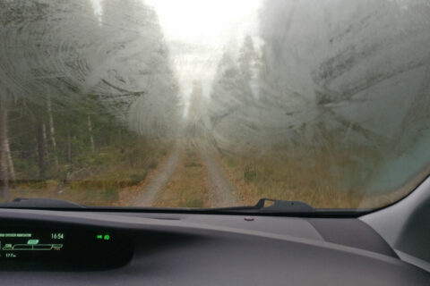 foggy windsheild